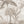 Papel Tapiz Vintage Palms - Tienda Interni