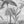 Papel Tapiz Vintage Palms - Tienda Interni