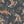 Papel Tapiz Wild Forest - Tienda Interni