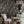 Papel Tapiz Wild Forest - Tienda Interni