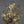 Papel Tapiz Blooming Marvellous – Flourish - Tienda Interni