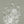Papel Tapiz Blooming Marvellous – Flourish - Tienda Interni