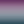 Papel Tapiz Blooming Marvellous – Ombré - Tienda Interni