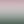 Papel Tapiz Blooming Marvellous – Ombré - Tienda Interni