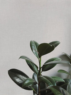 Papel Tapiz Fine Linen - Tienda Interni