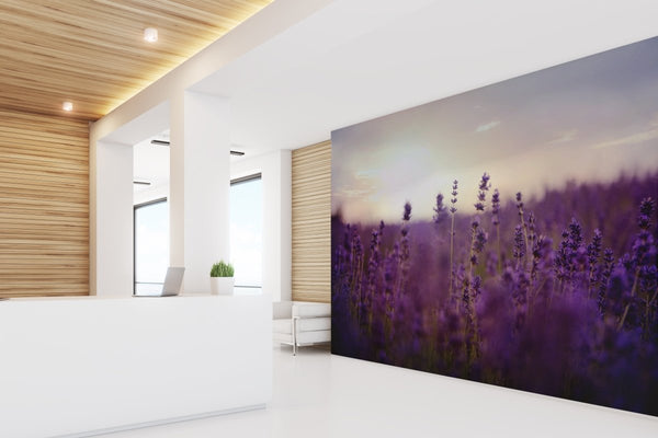 Papel Tapiz Healthcare - Tienda Interni