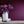 Papel Tapiz Italia Silk - Tienda Interni
