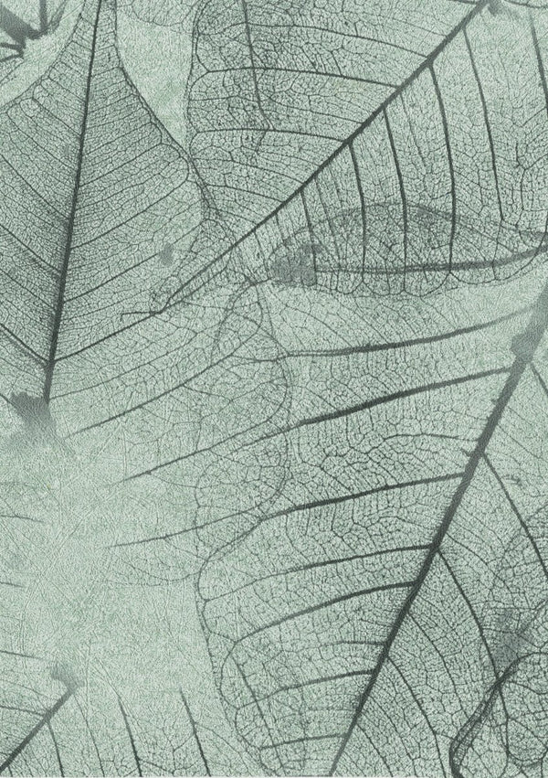 Papel Tapiz Leaves - Tienda Interni