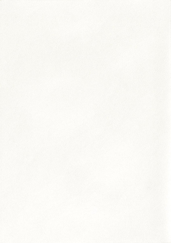 Papel Tapiz Peloso - Tienda Interni