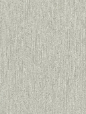 Papel Tapiz Rough Concrete - Tienda Interni