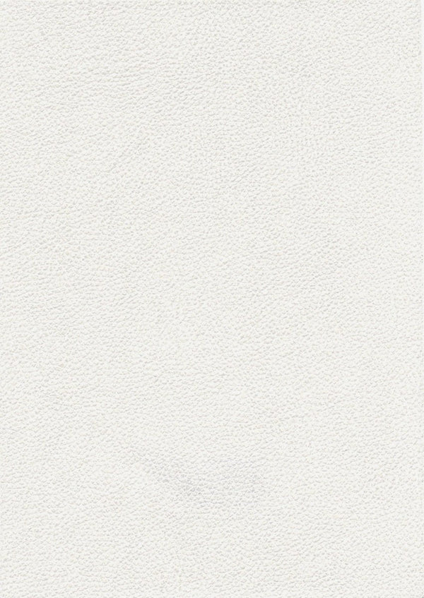 Papel Tapiz Tanner - Tienda Interni