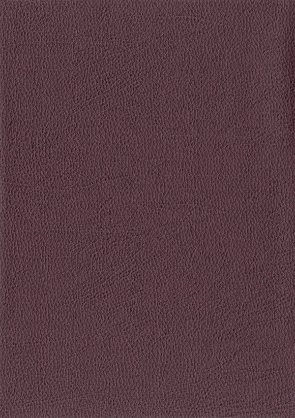Papel Tapiz Tanner - Tienda Interni