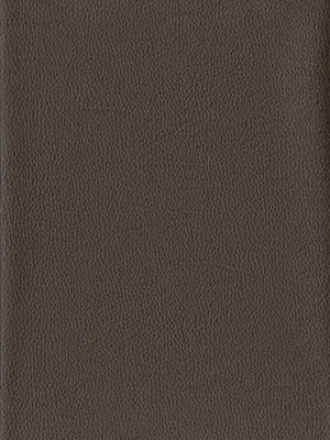 Papel Tapiz Tanner - Tienda Interni