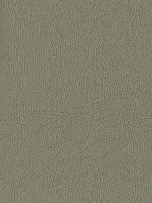 Papel Tapiz Tanner - Tienda Interni
